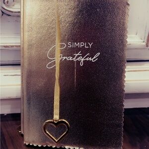 Tahari Metallic Gold Journal